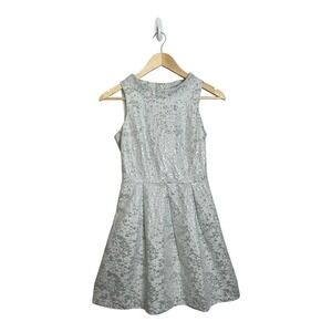 Eric + Lani Silver Metallic Jacquard Fit & Flare Mini Dress - Size XS